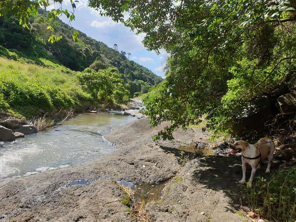 A swimming hole off the beaten path, and up the 'goat track'. (Not on the property, maybe 45 min walk)