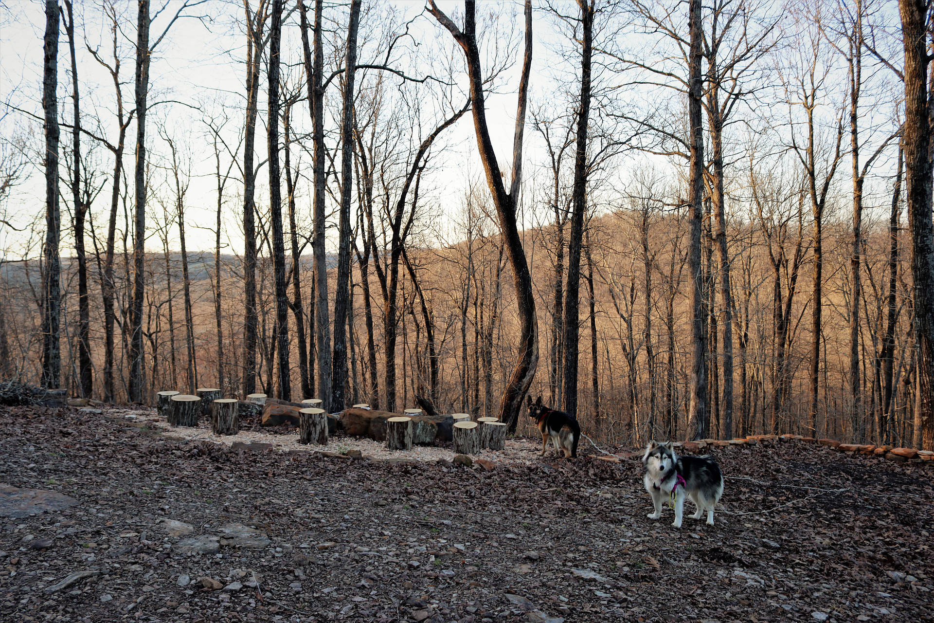 Griffin Ridge Camp