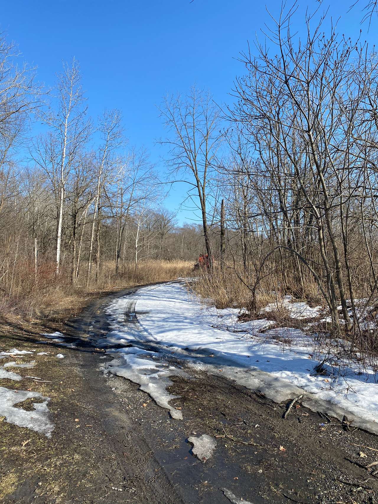 20 acre fallow farm 10 acres forest