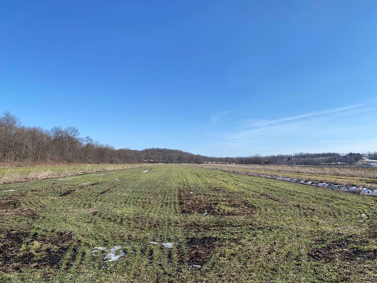 20 acre fallow farm 10 acres forest