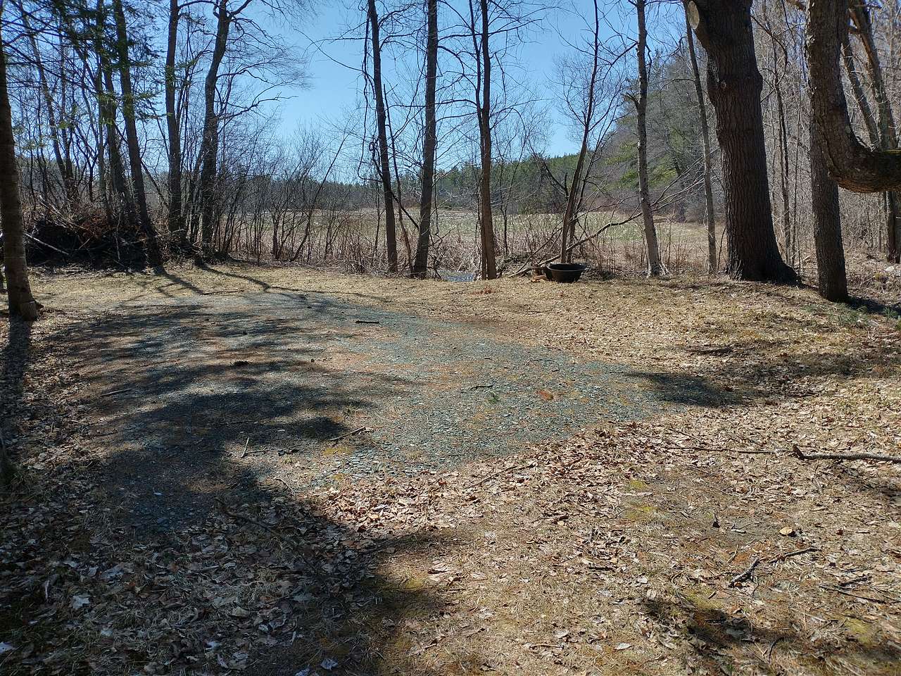 ELM TREE FARM
