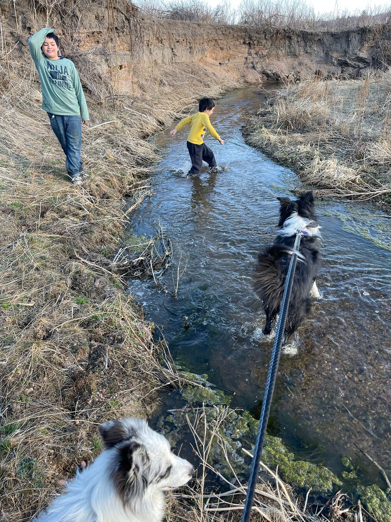 The creek is fun to exore