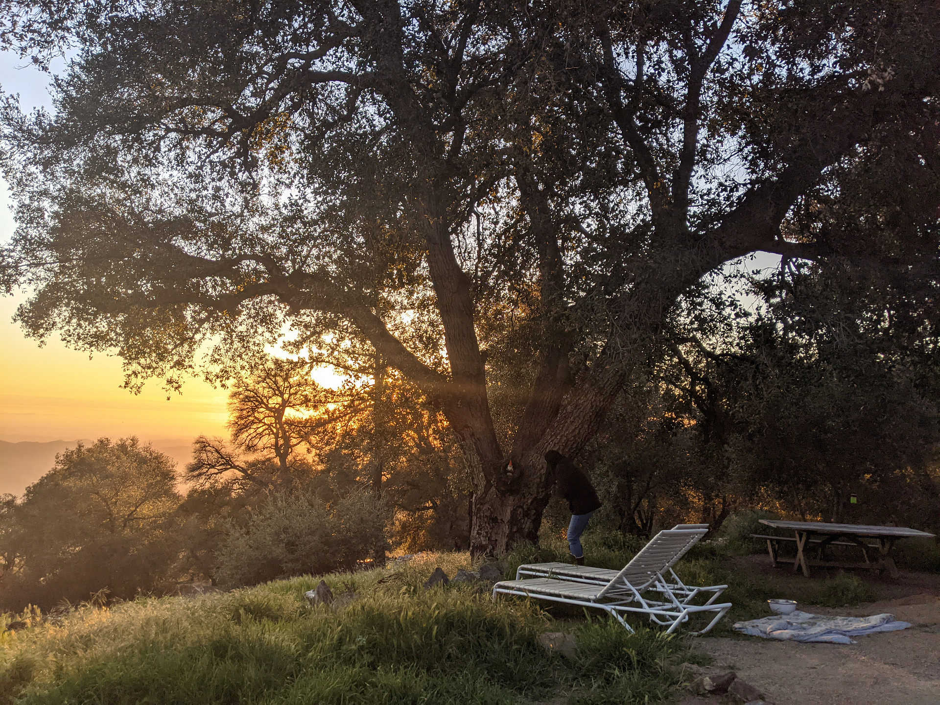 Magical Harrison Serenity Ranch