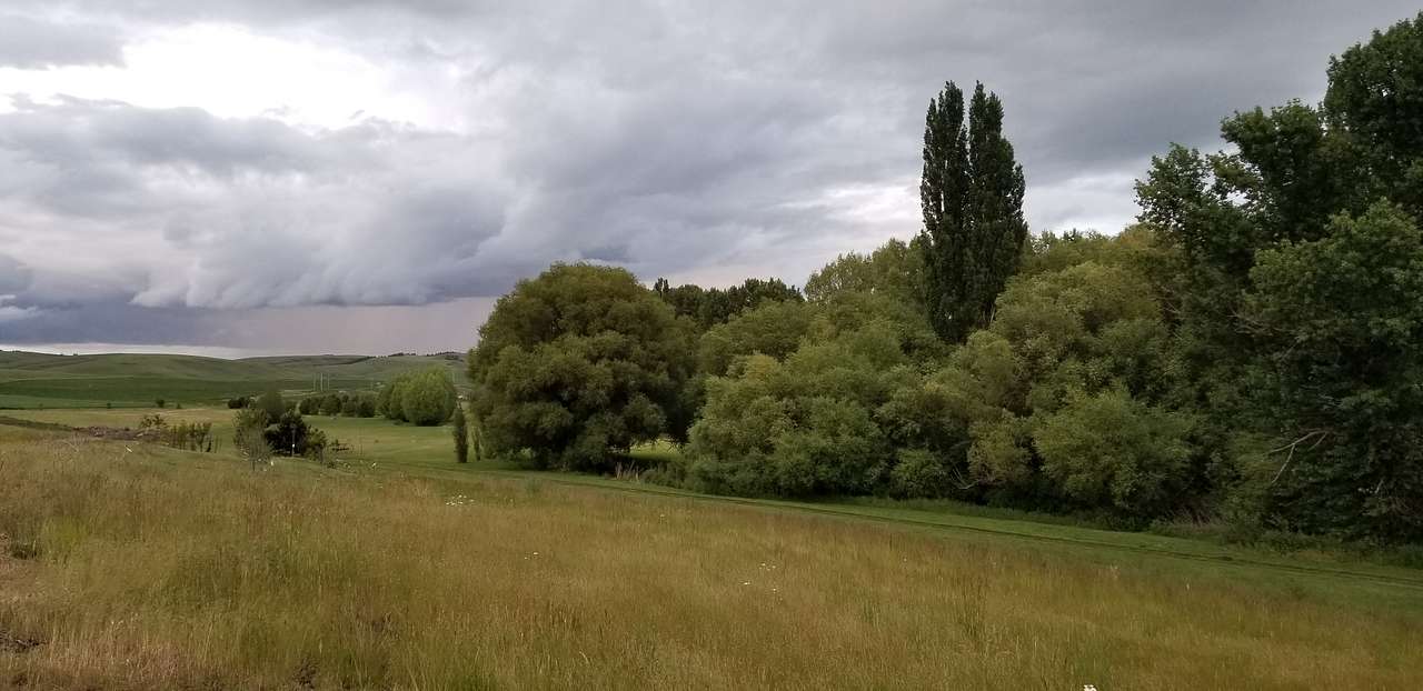 Looking down into the willow woods and the gathering lawn from the windmill. RV Camping is in the background.