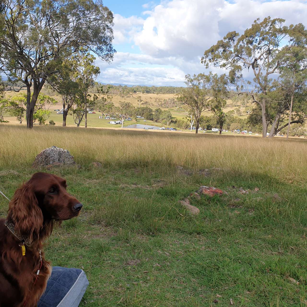 Berrima Camping & Farmstay
