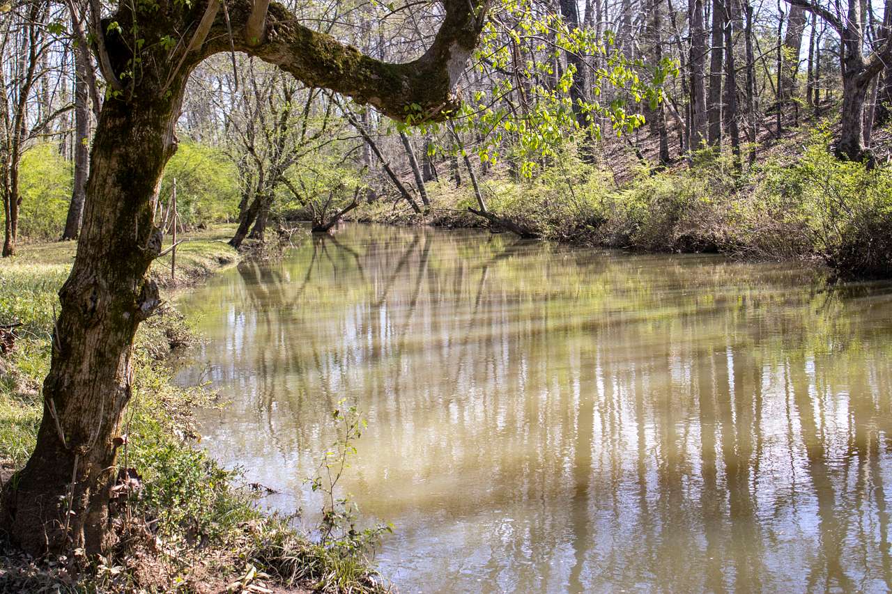 the creek was running with pollen. Ahhhh Georgia April.