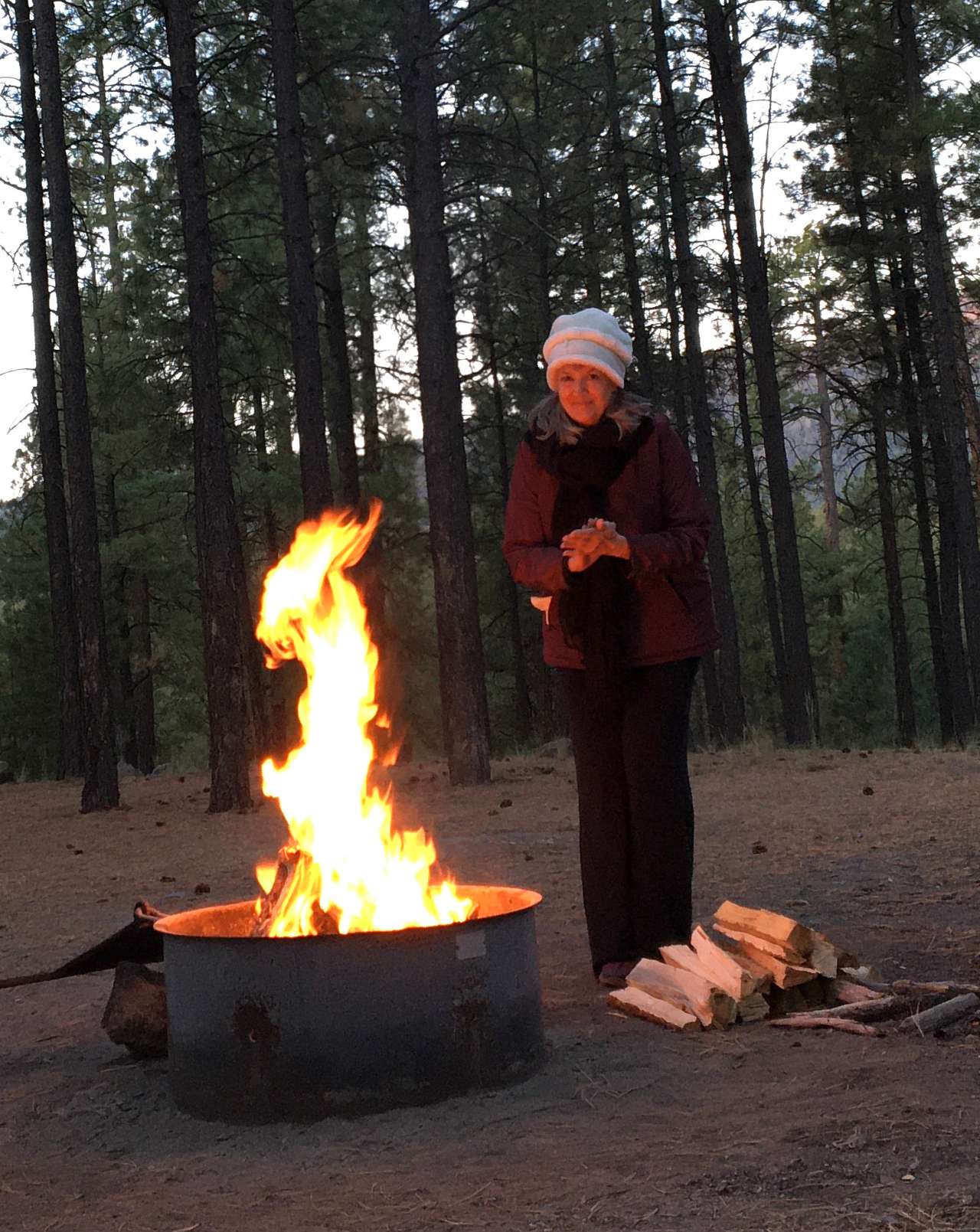 Nights are pleasantly cold.