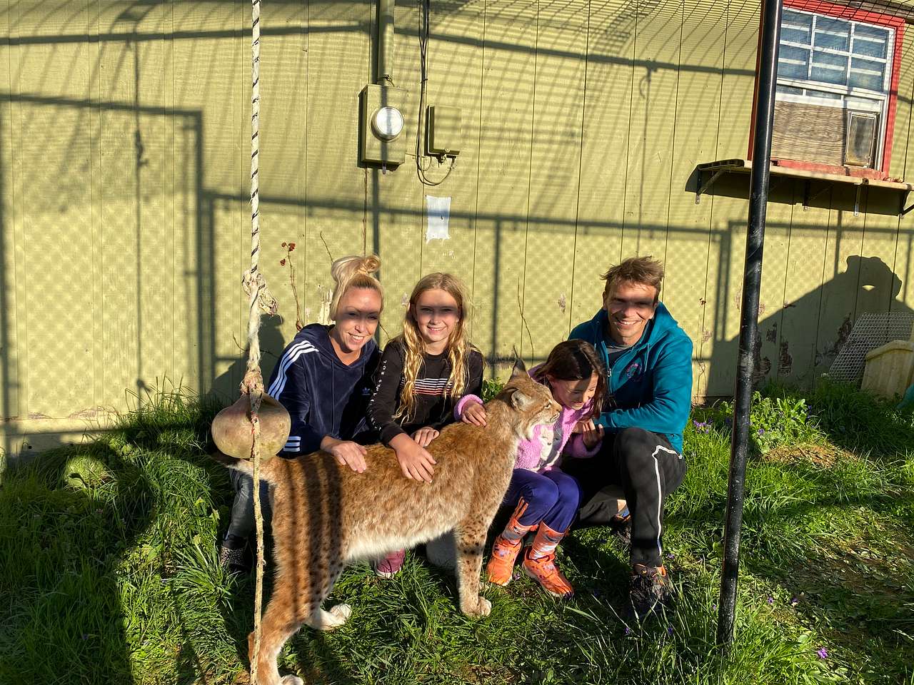 Meeting the lynx!