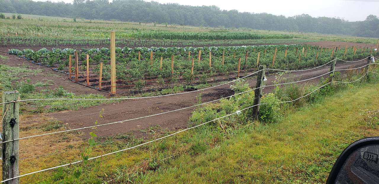 Sycamore Springs Farm on Springboro
