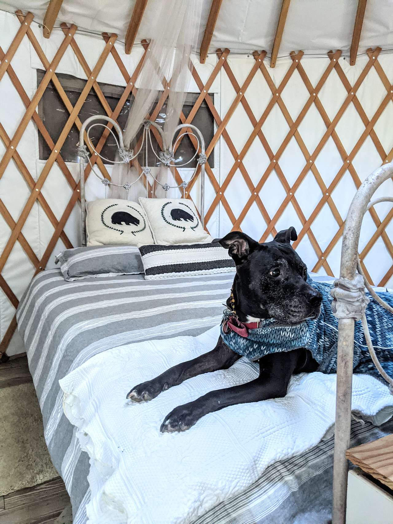 Ella was warmly welcomed and felt super comfortable here.