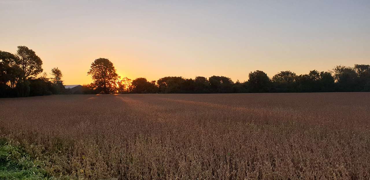 Farm Camp & Art Retreat