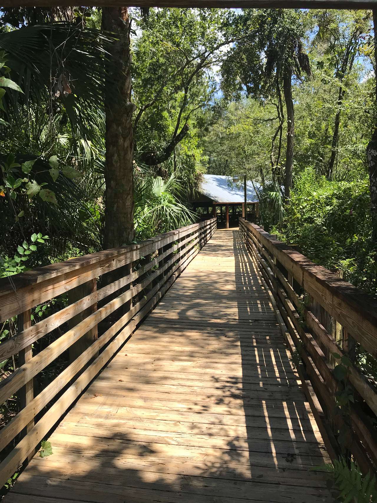 A boardwalk leads you to the pavilions along the Cotee River.