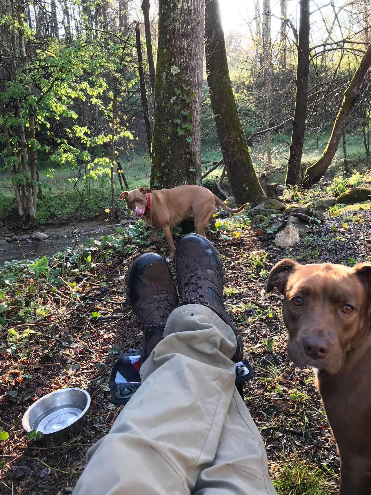 Reems Creek Retreat