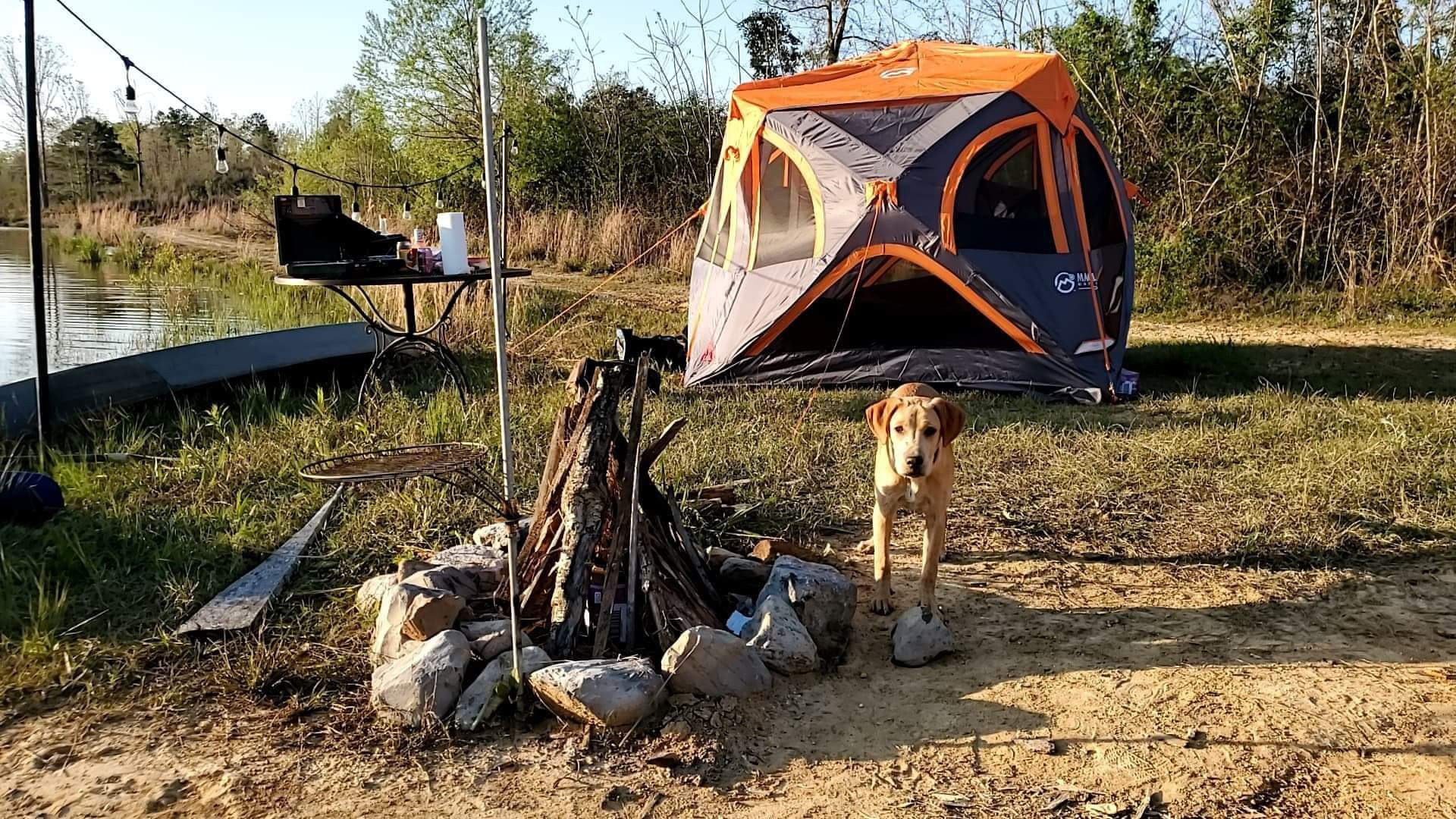 Camp Strong Wood
