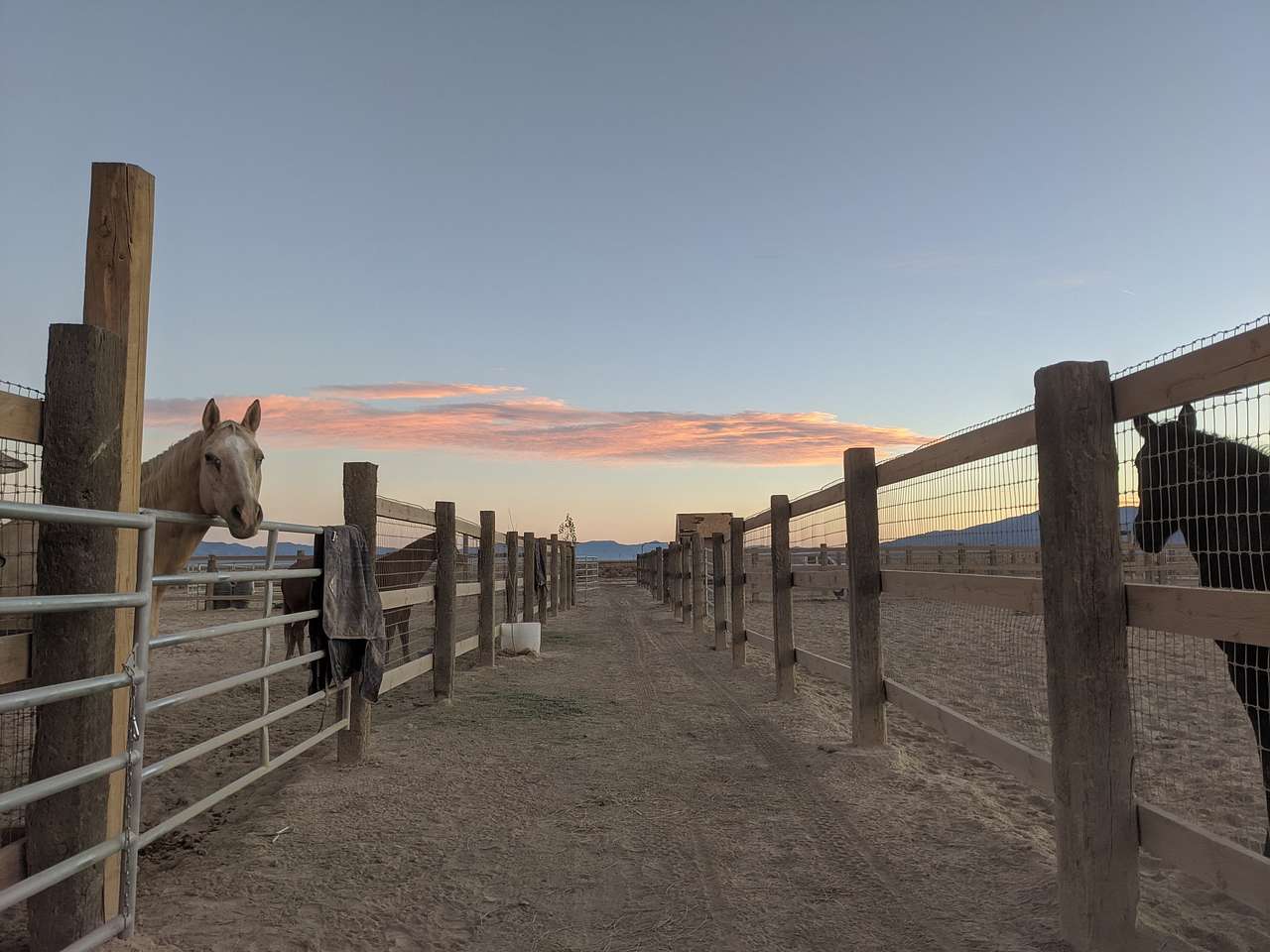 Rockin' N Ranch Buena Vista Valley