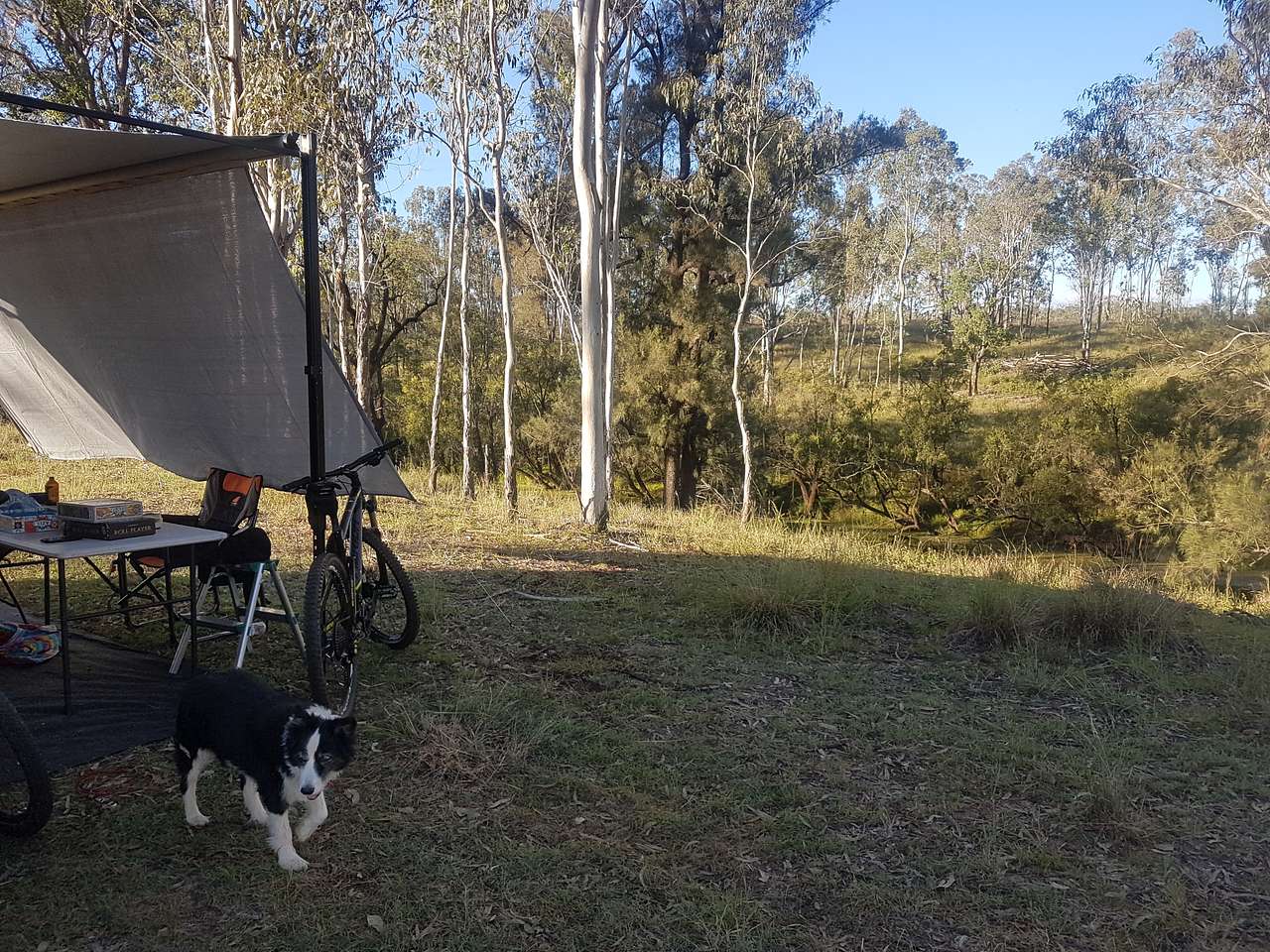 Crystal Springs