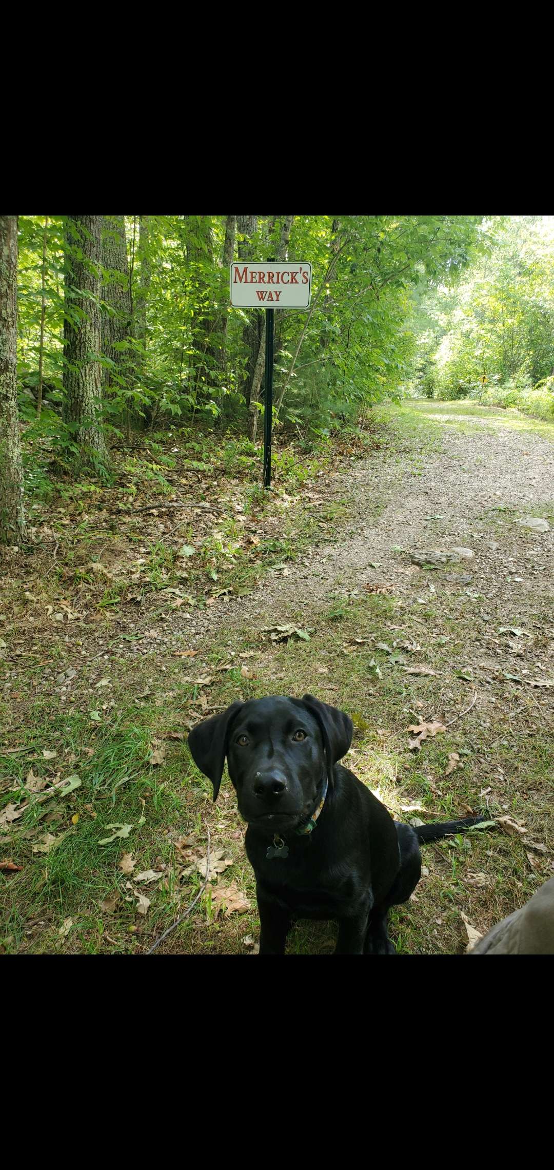 Lake Auburn Community Forest