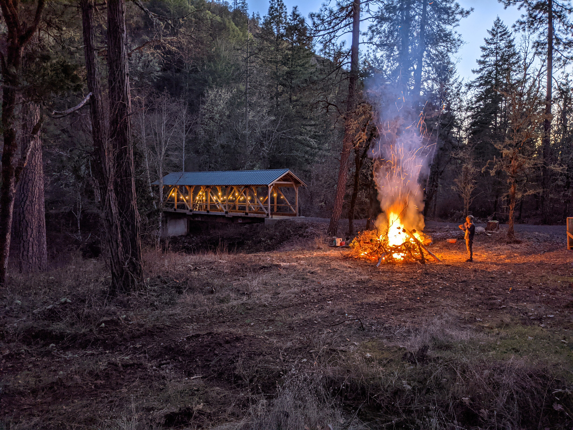 Forested creekside campsite