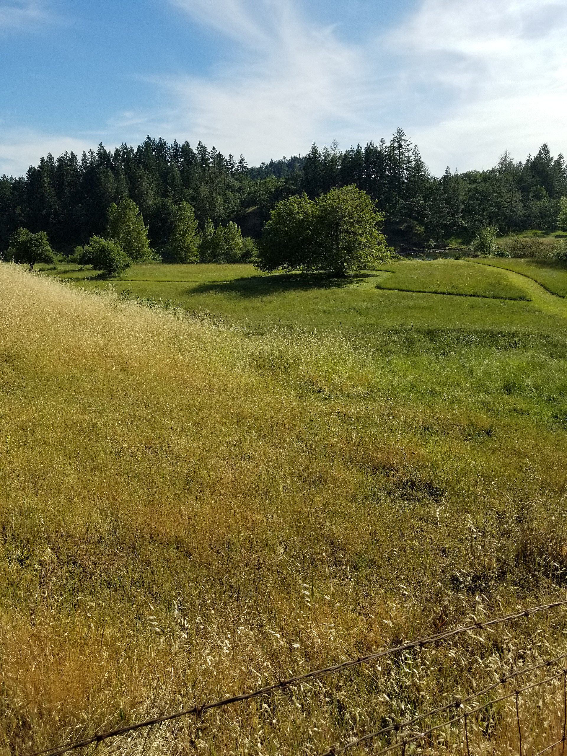 River Ranch Campground