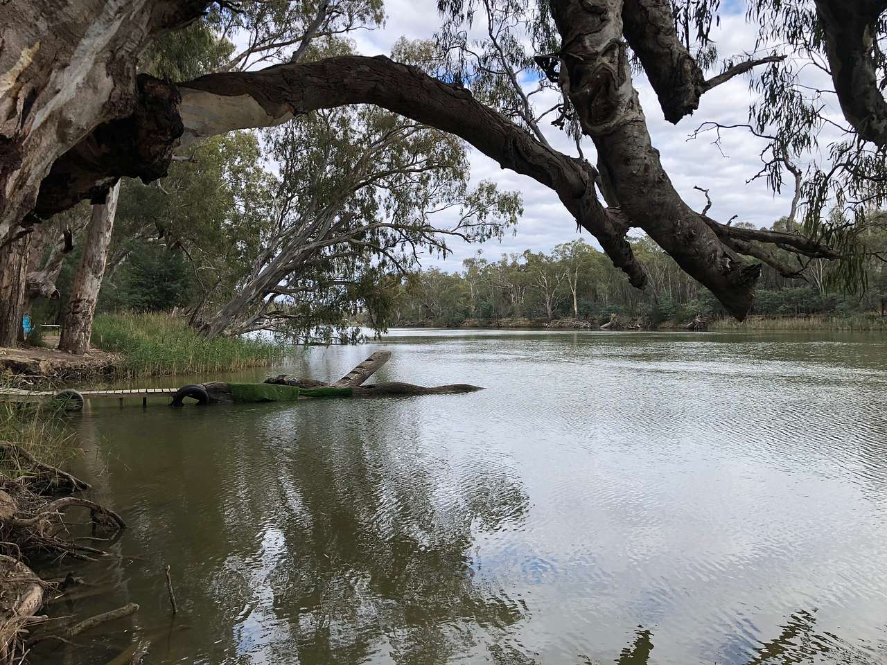 Murray River Bush Camp