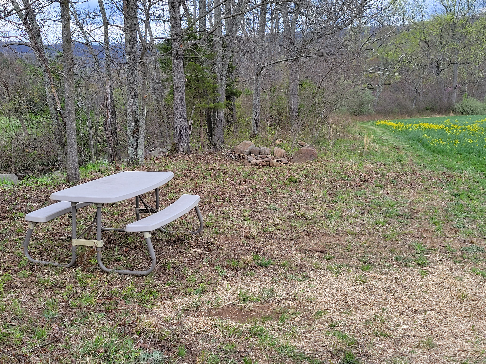 Campsite