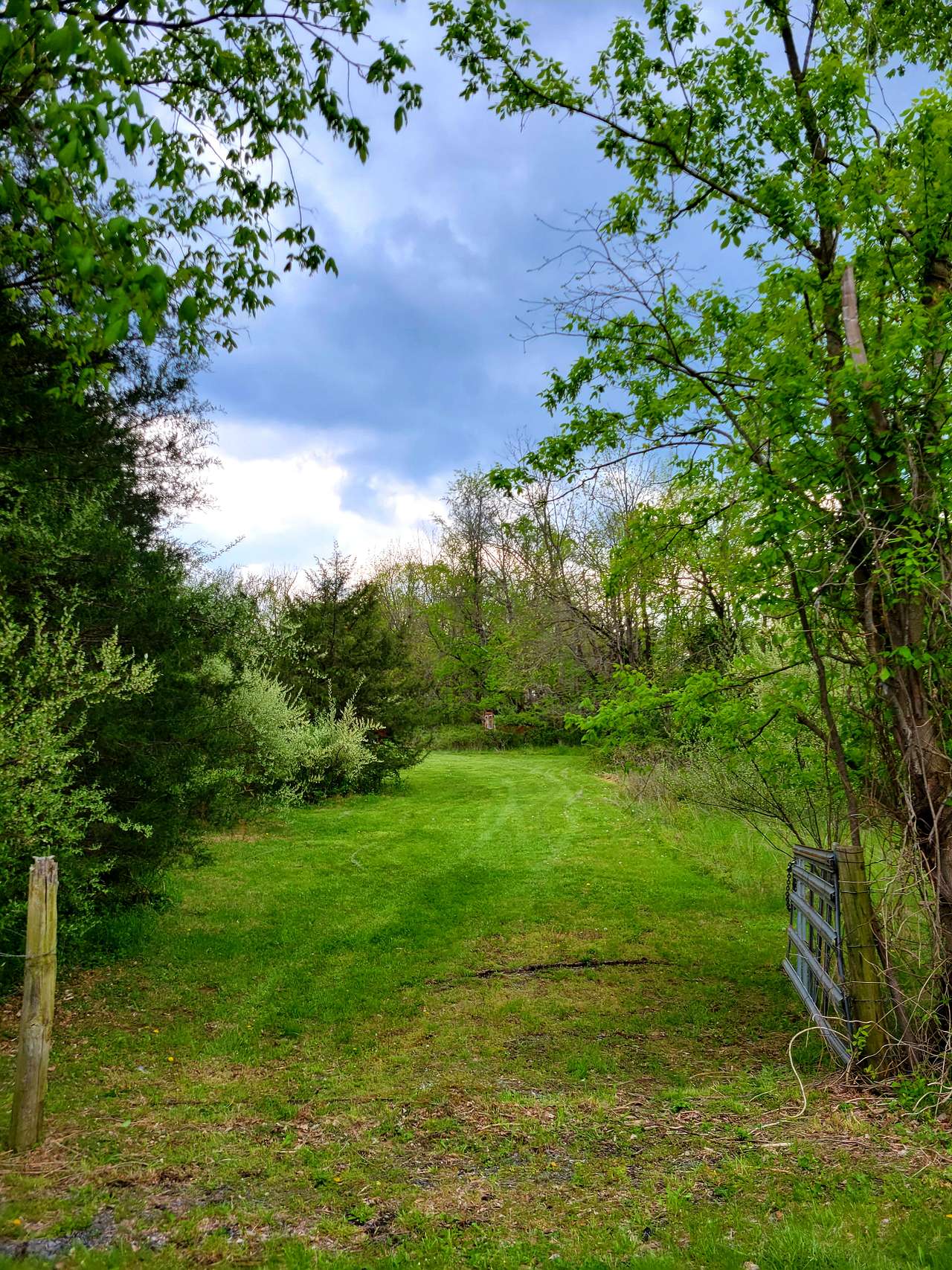 Wineberry Grove