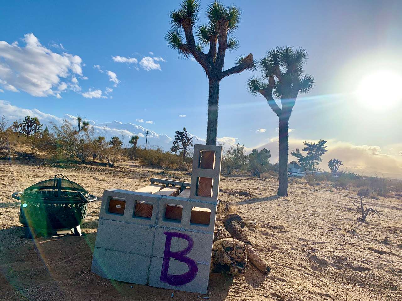 Caribbean Mojave Escape