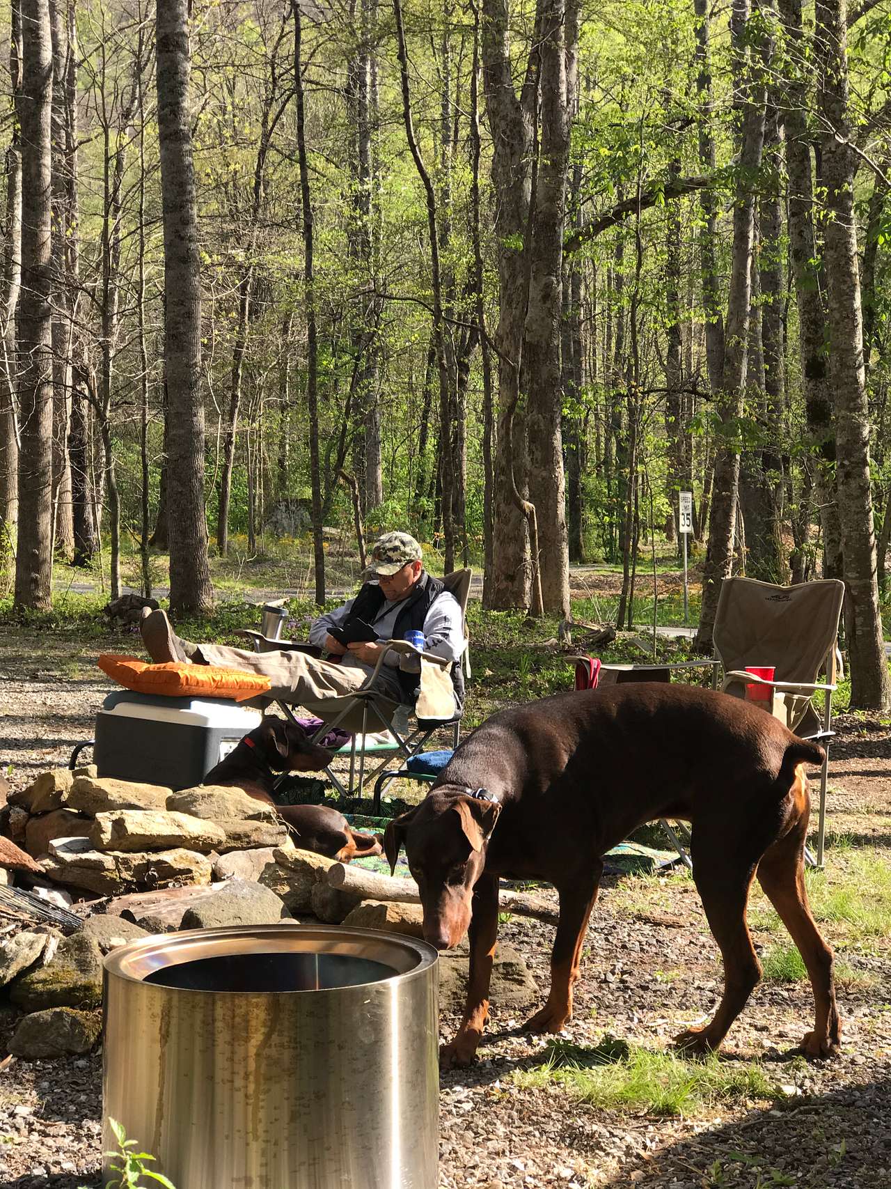 A huge benefit for us was being able to chill at camp without having to tether the dogs.  There is plenty of space and our dogs stay close enough that the road you can barely see in this picture was not a big deal.