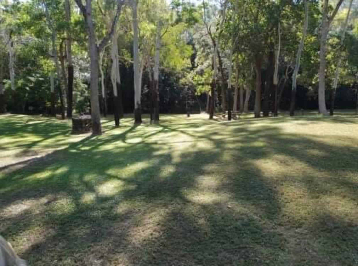 Crystal Creek Nywaigi Camp Grounds