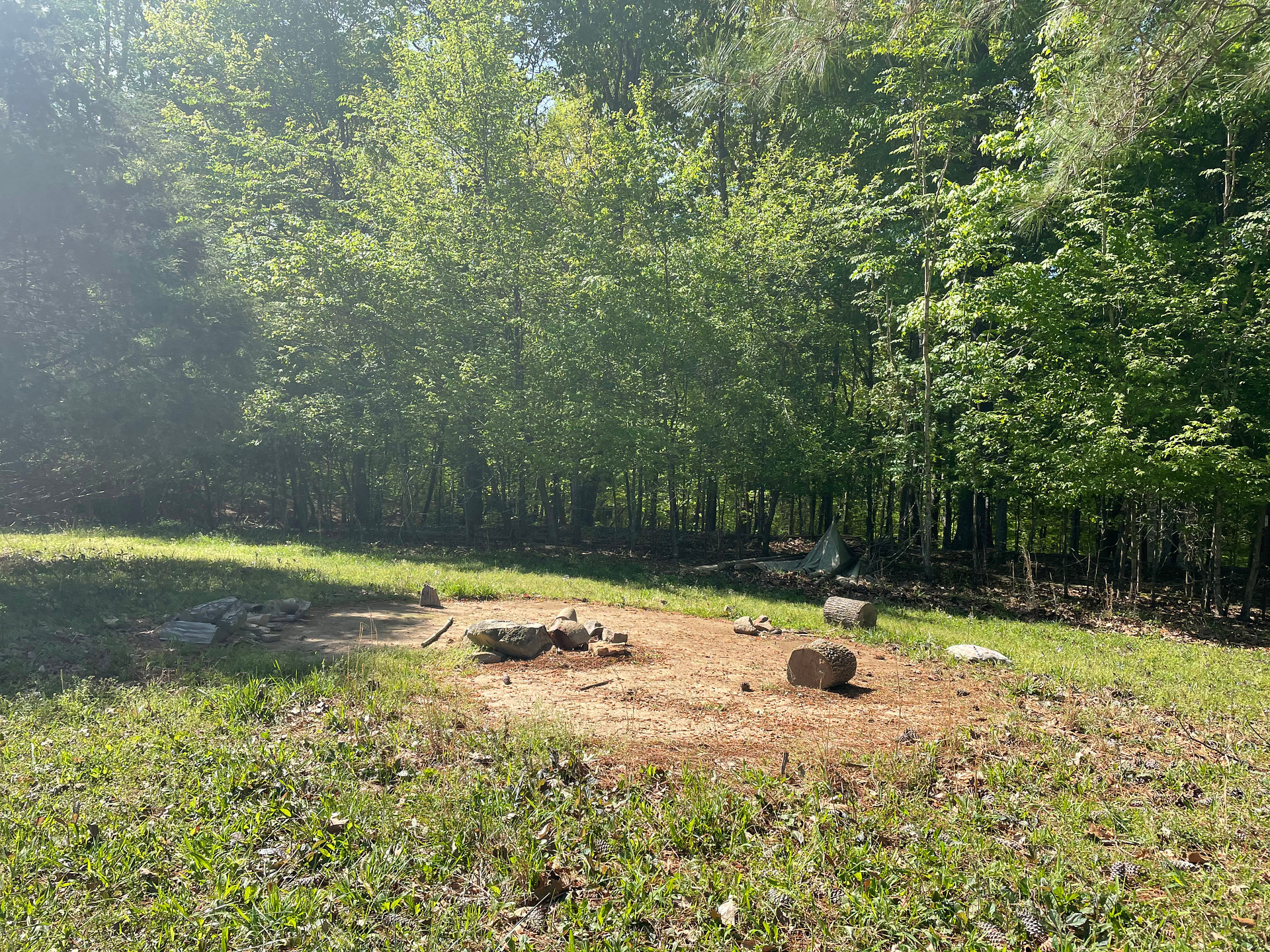 Sacred Dog Ranch