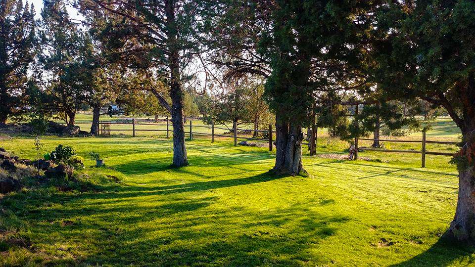 Working Ranch just outside Bend