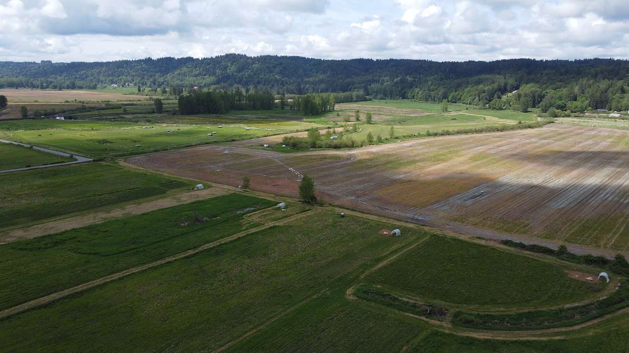 Sites from left to right #1 to #4