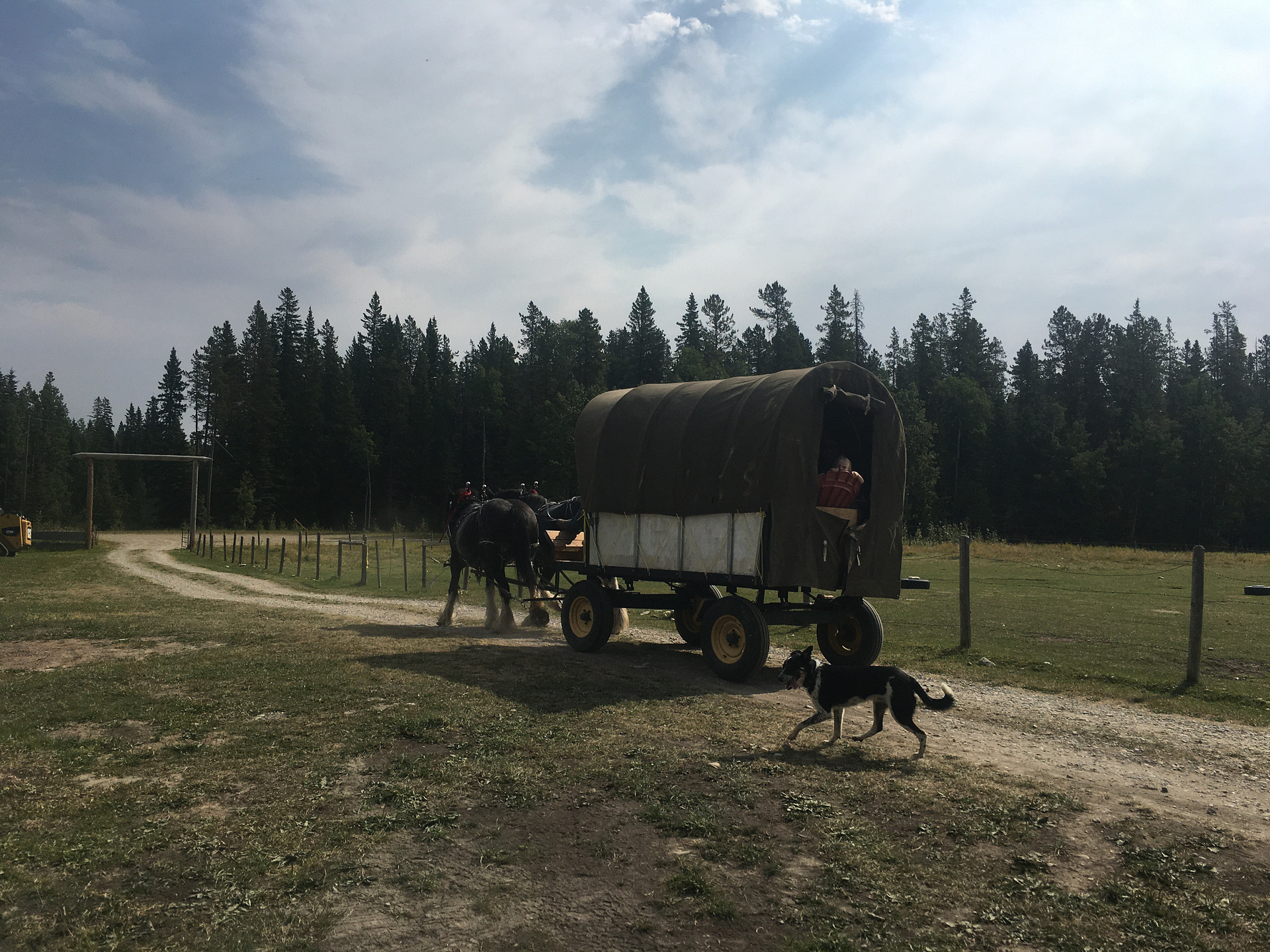 Rough Diamond Ranch Alberta