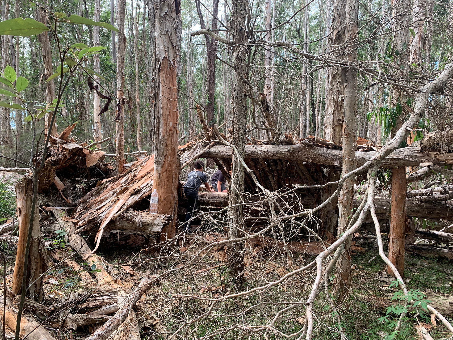 Pipe Dream Bush Camp - Dog Friendly