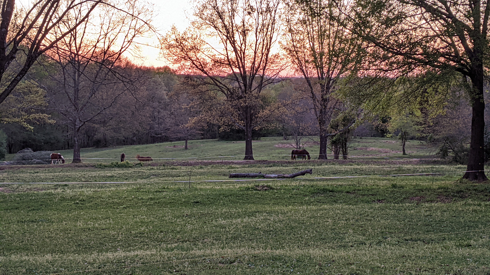Oak Creek Horse Farm