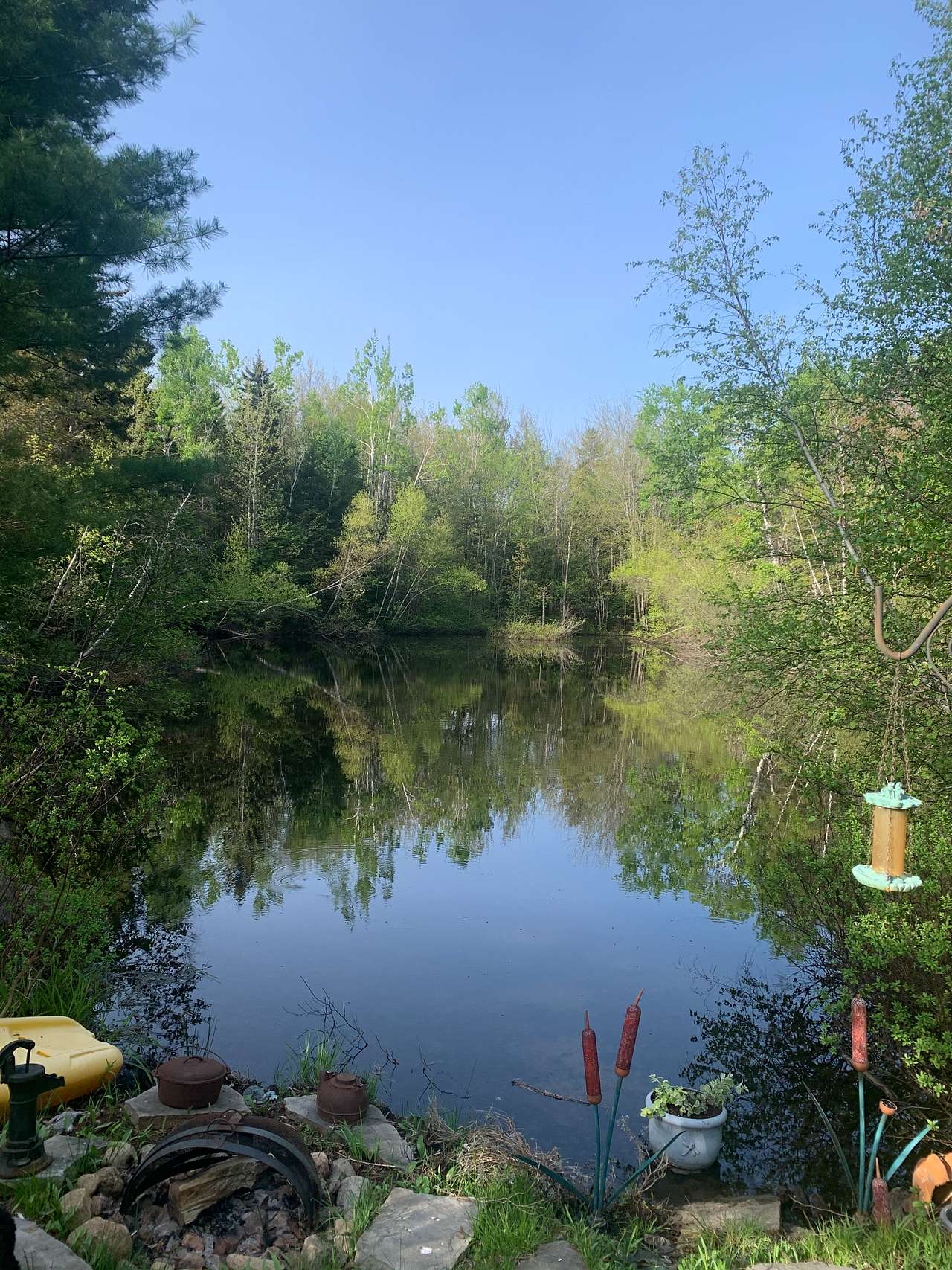 Nature Lake Forest Relax’n Breathe