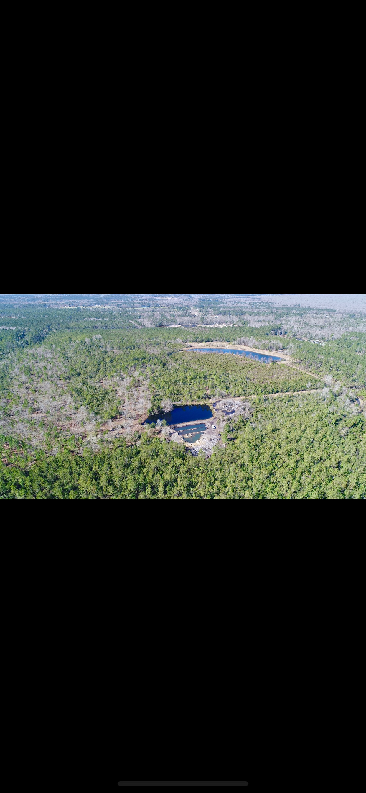 The Pine Tree Retreat
