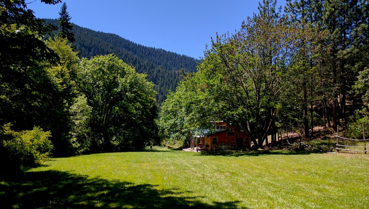 Kitchen Meadow