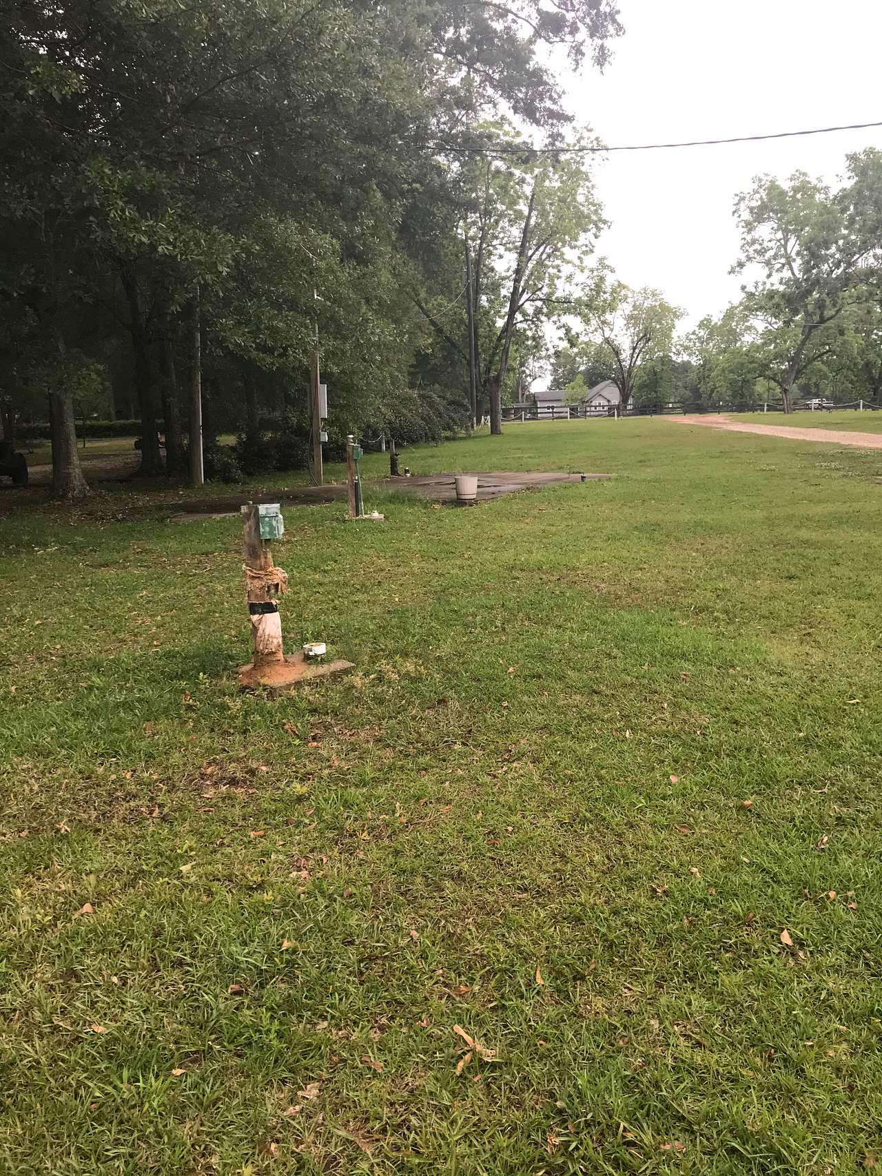 Pecan Orchard camp sites