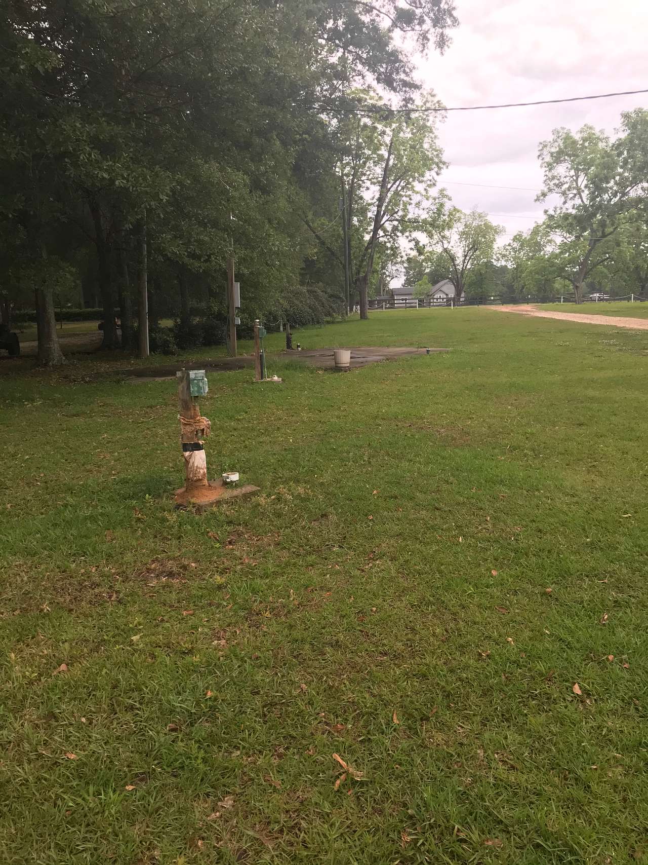 Pecan Orchard camp sites
