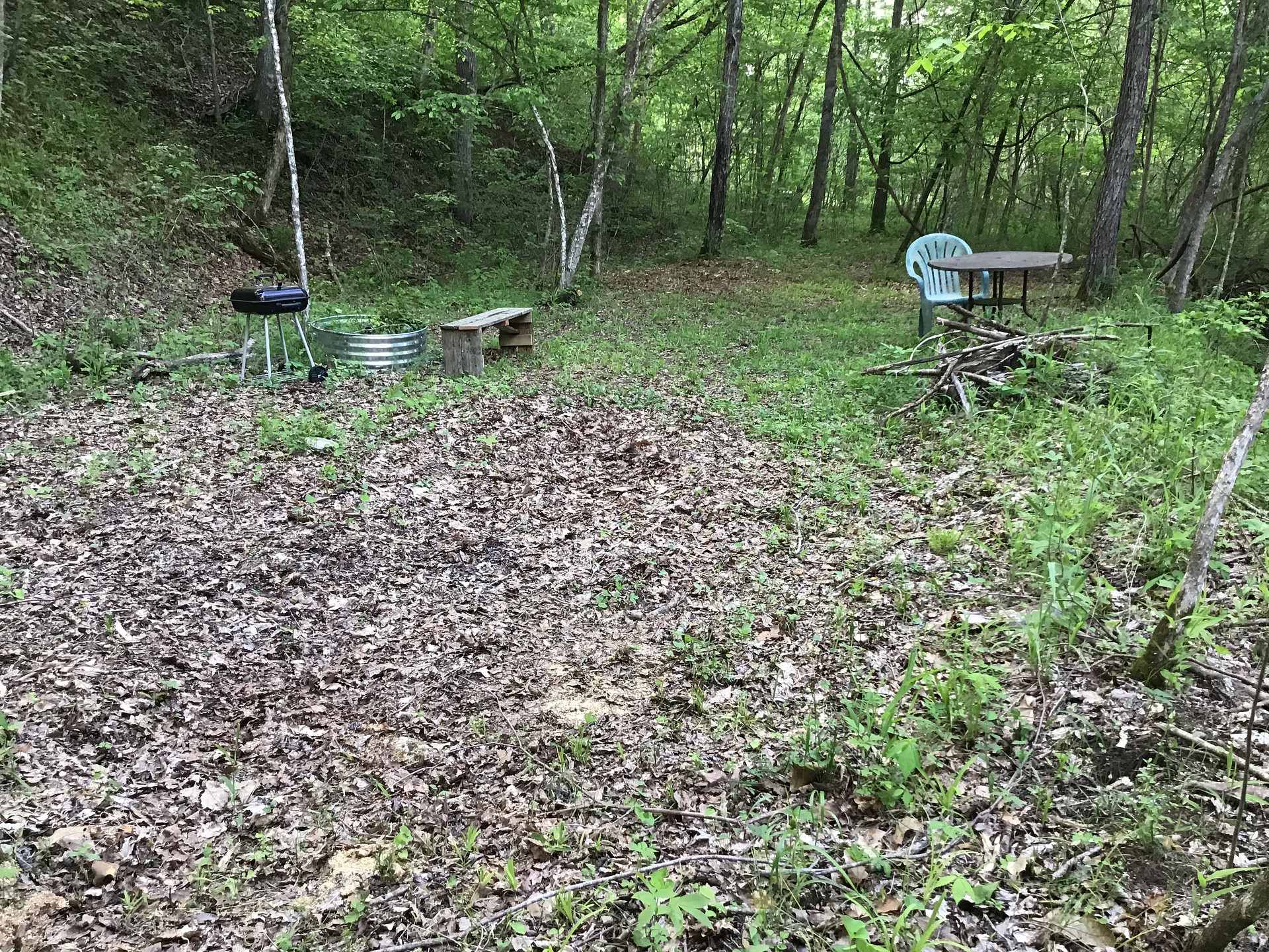 Campsite 1 runs along Little Brushy Creek. It offers a table, bench, fire pit as well as a BBQ pit. Two smaller campsite are off the trail leading to this place. All are part of number 1