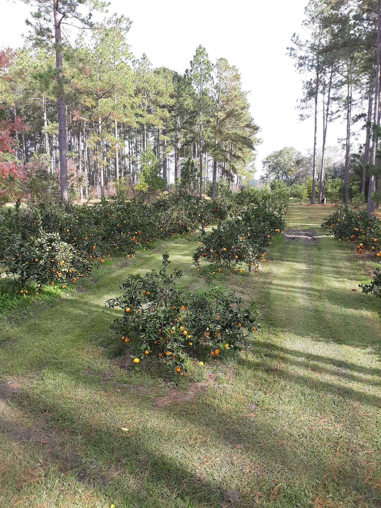 The Fruit Factory RV Site