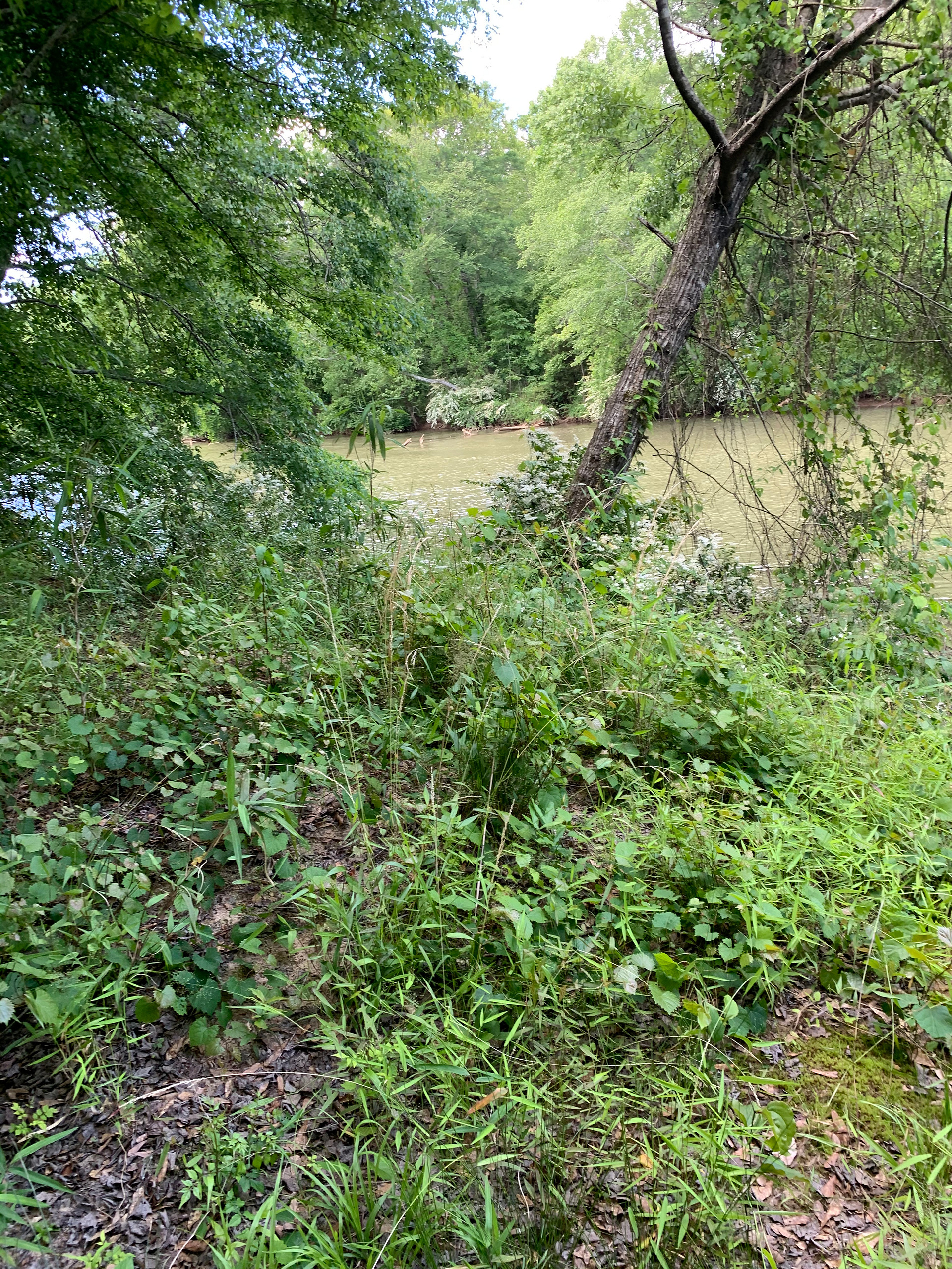 Another river view, lots of shaded areas and there were hardly any bugs!