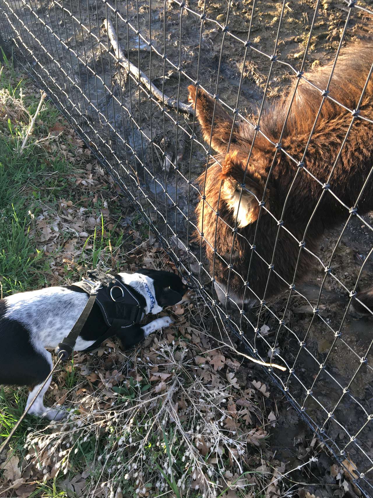 New friends!