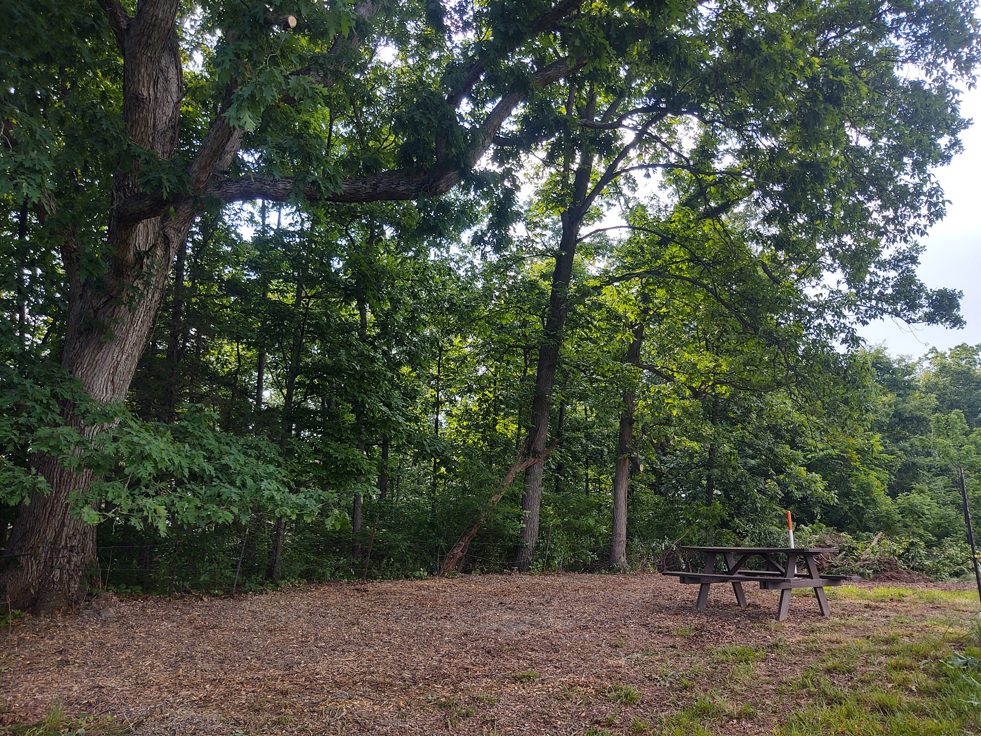 Site 2