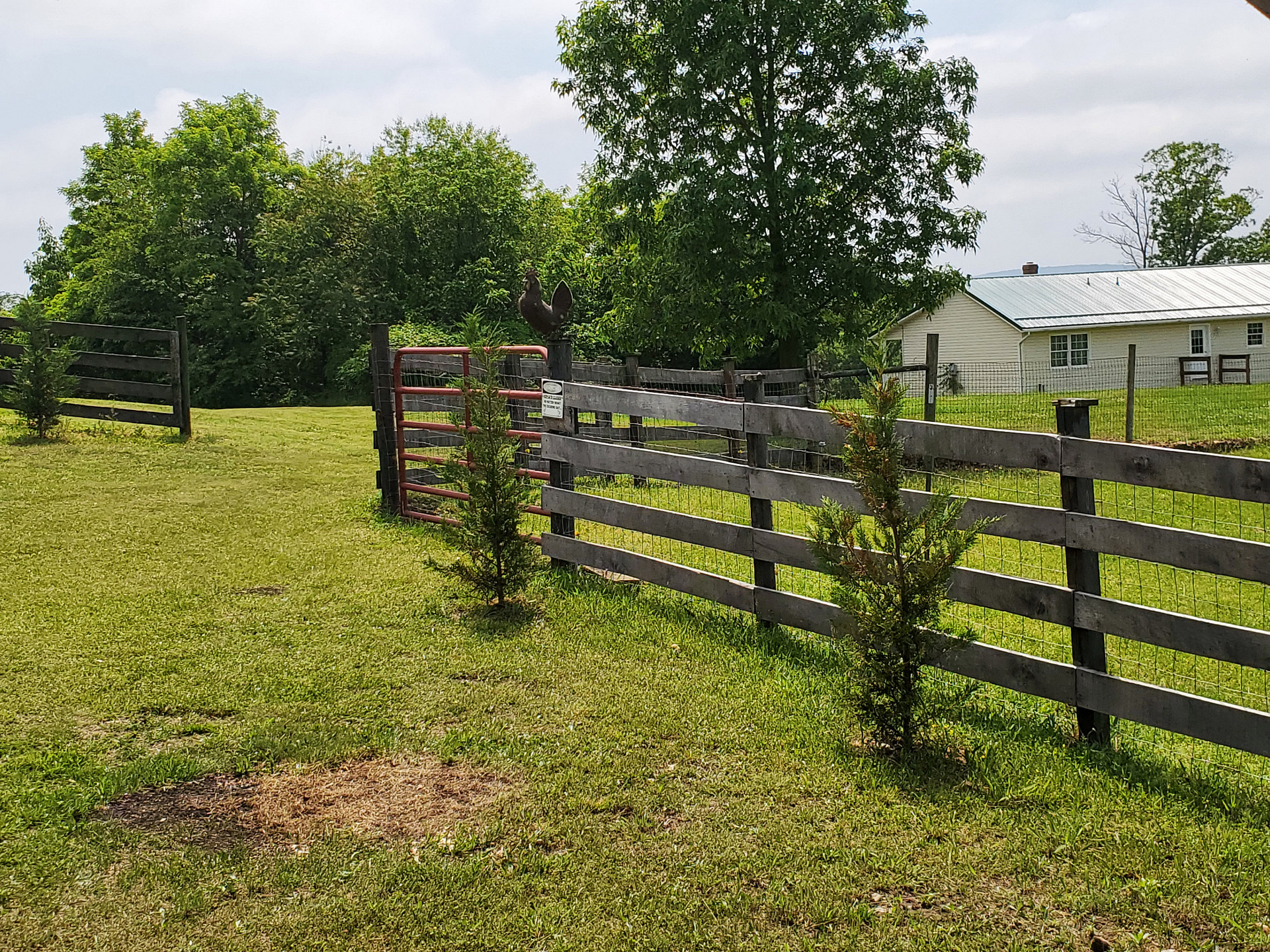 Mountain View Mini Farm