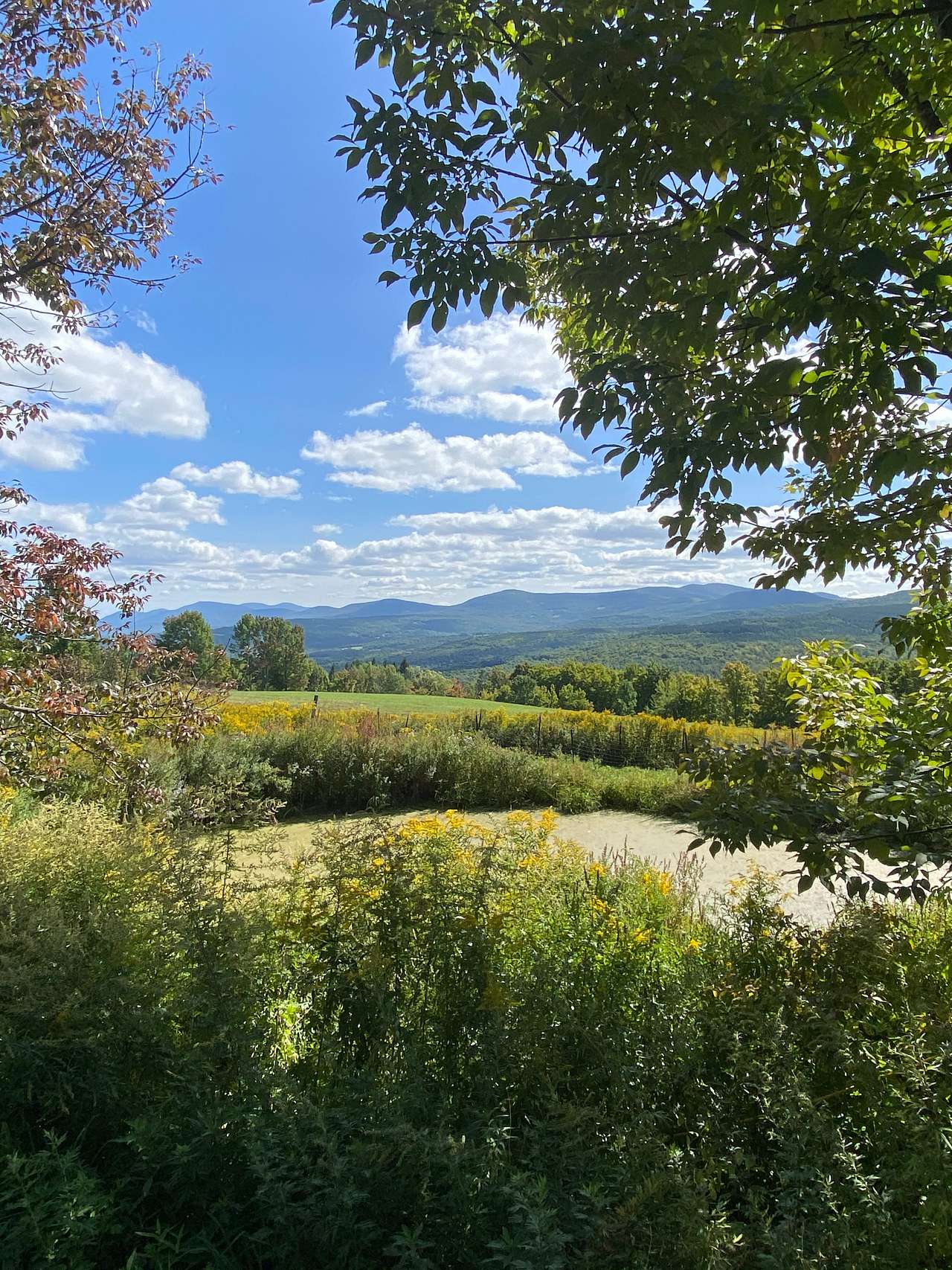 Mountain Glamp & Camp in Catskills