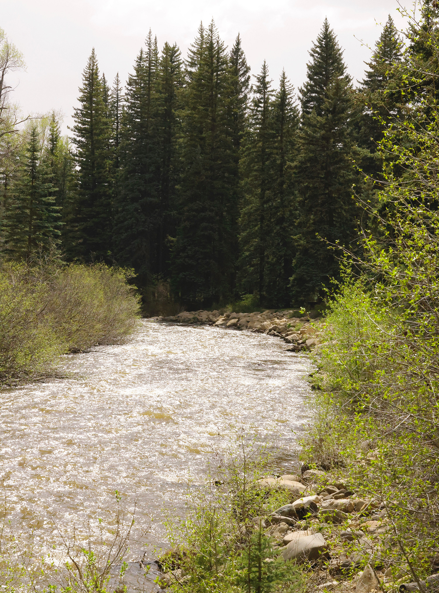 West Dolores River during high flow, spring run off / loop B end of the campground.