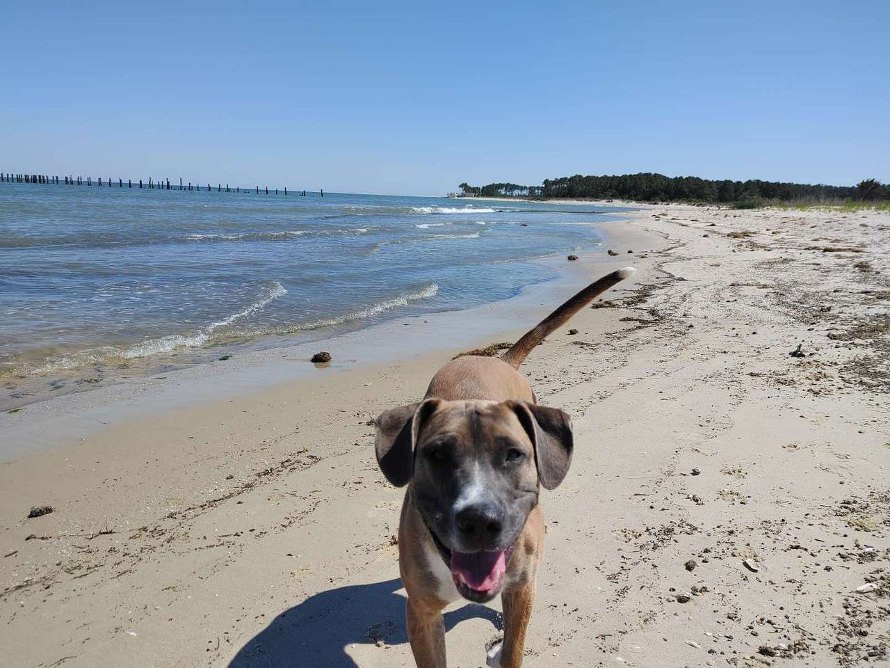 1 of 2 local beaches 1 mile down the road. 