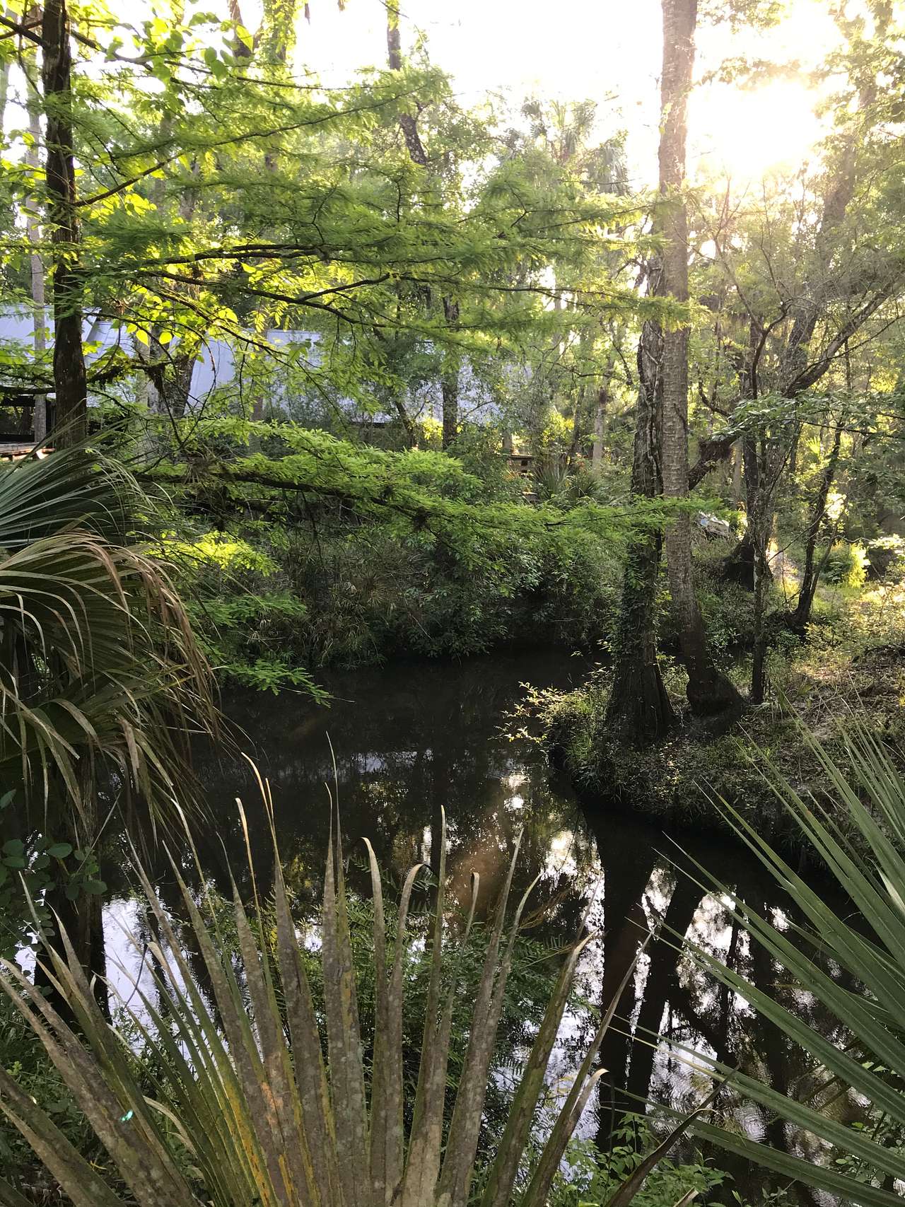 Cotee River Bend